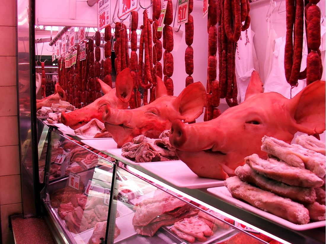 pigs heads on top of a butchers counter, sausages hanging behind them and meat products for sale in the glas counter bleow