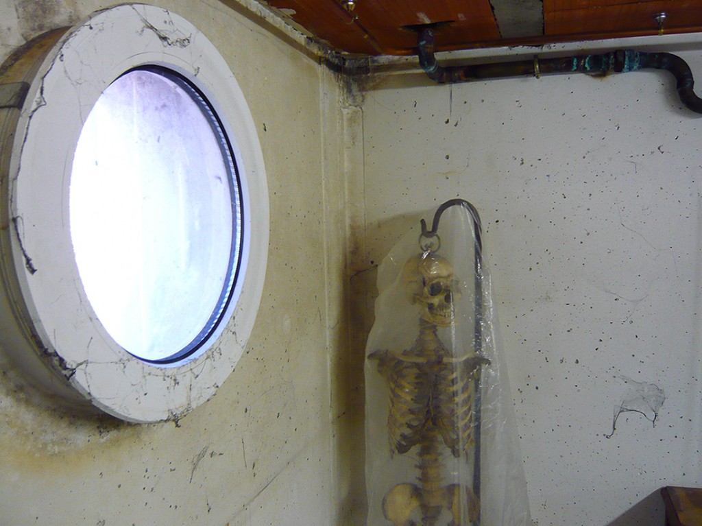 human anatomical skeleton hanging besides a round window