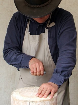 man uses a cheese wire to cut a large circular chesse in half