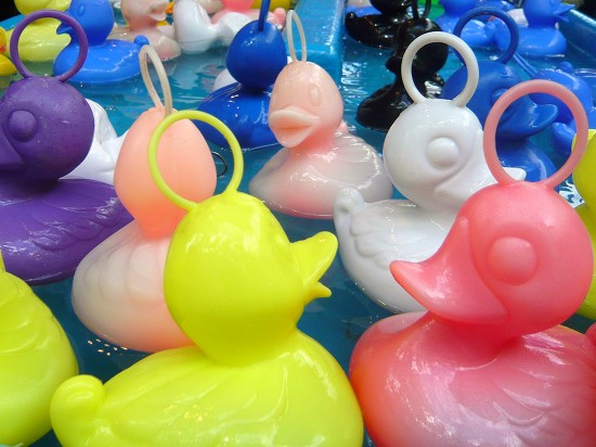 brightly coloured plastic ducks with rings on their heads, floating in a blue plastic tank