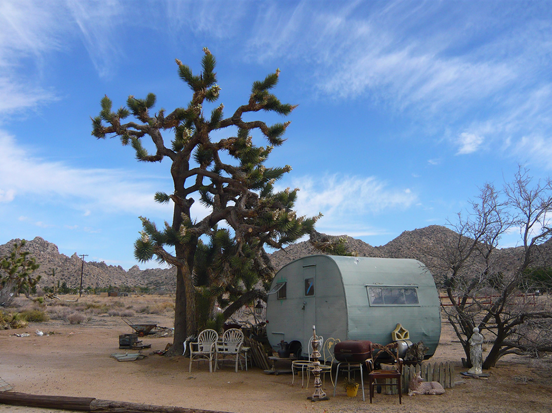 caravan below a large joshua tree. blue sky and desert mountains on the horizon