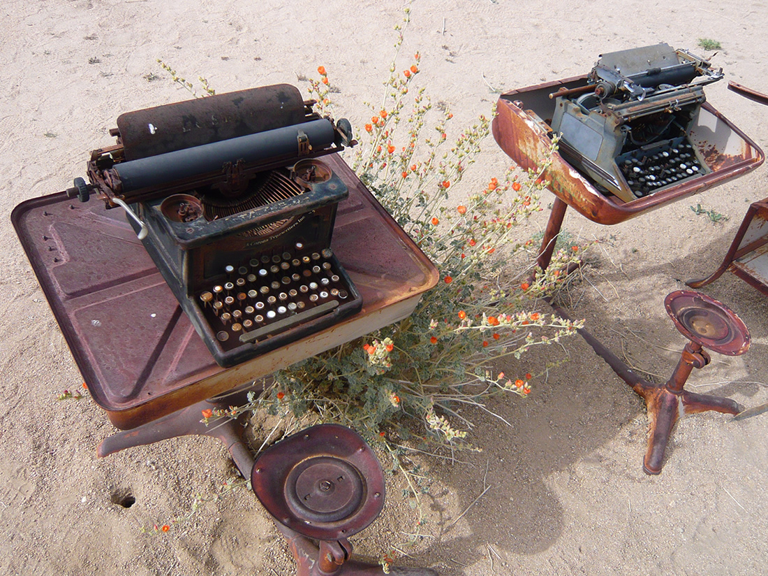 rusting typewritters and desks in a row on a sandy soil and flowering pants growing between them. 