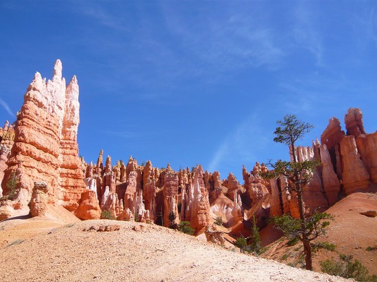 unique geology of bryce canon. spires and fins of colored rock called "hoodoos" tower in to a blue sky