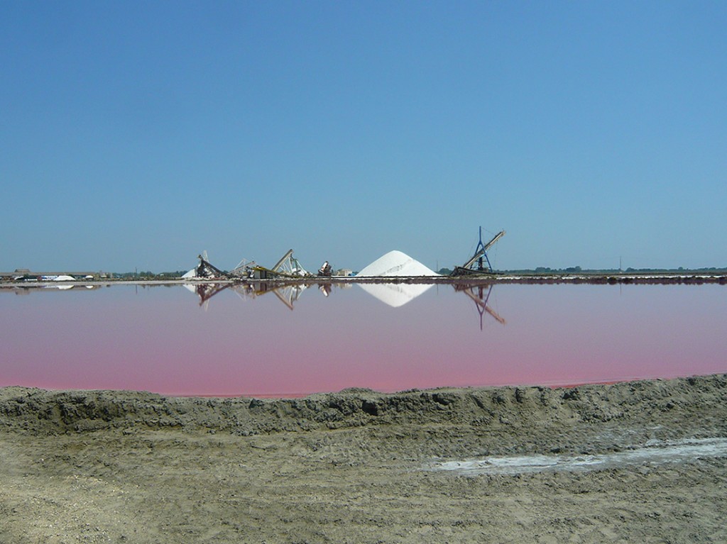 large mound of salt and machinery of of salt works reflected in a pink brine pool