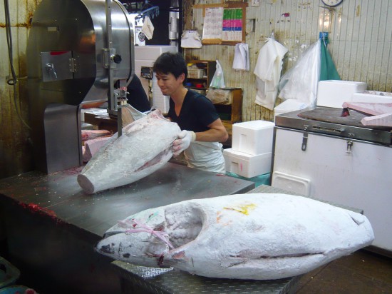 man cutting a frozen tuna with a jigsaw