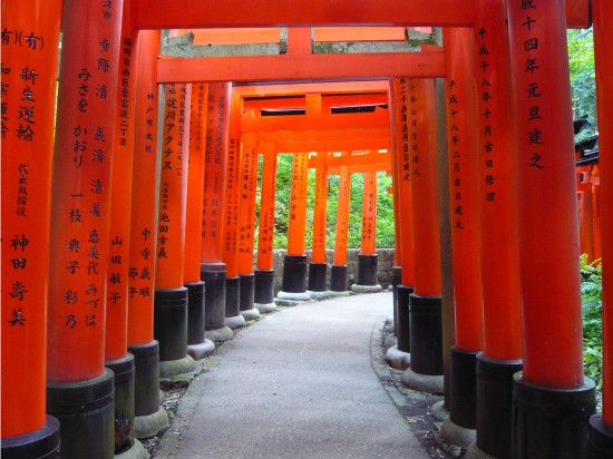 red vermillion arhes (torii) forming a tunnel