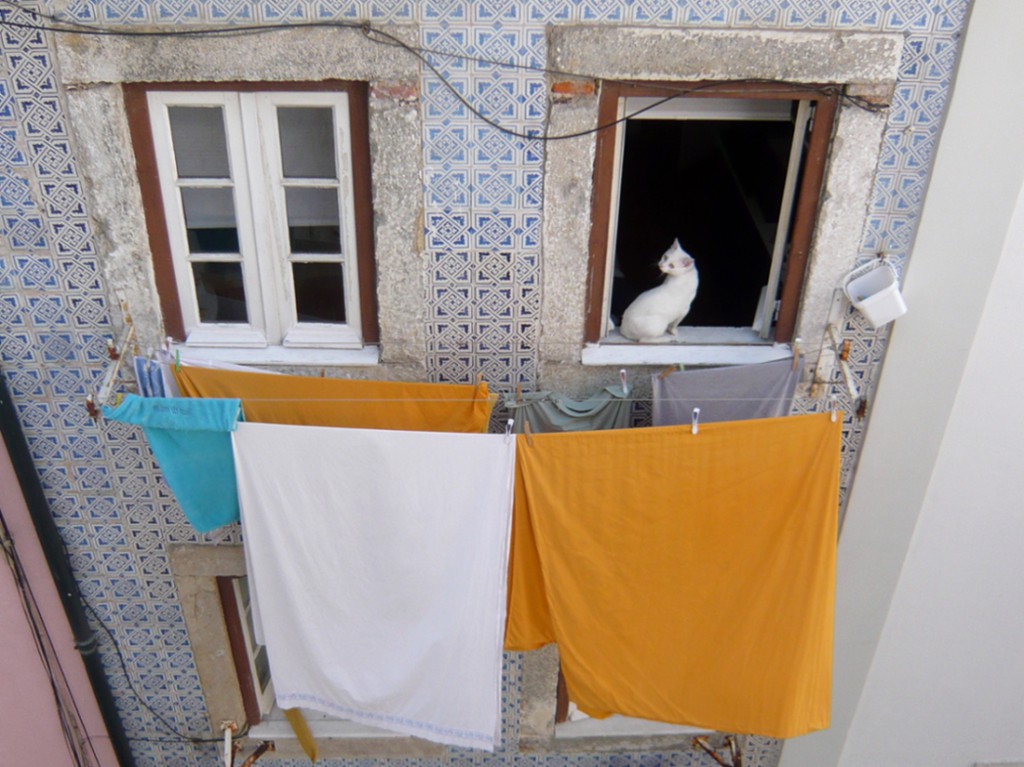 appartment façade - white cat sitting in an open window and bed sheets drying